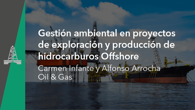 W20022 Gestion ambiental en proyectos de EyP hidrocarburos offshore